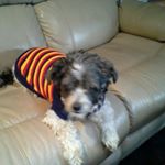 Profile Picture of Joy Pinder (@joypinder) on Instagram