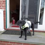 Profile Picture of Gary Repetto (@gary.repetto.58) on Facebook