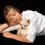 Profile Picture of Tanya Schaffer (@dirseldog) on Instagram