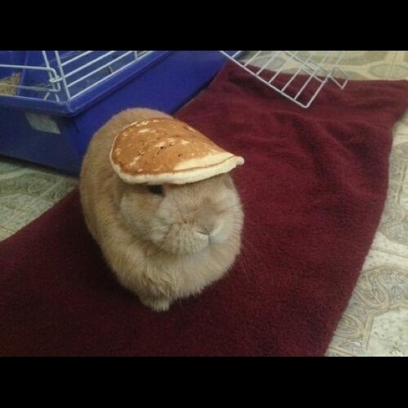 Profile Picture of Ali Oepping (@alilililililili) on Poshmark