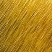 Profile Picture of Vitali Zimmerling (@vitalizimmerling3443) on Youtube