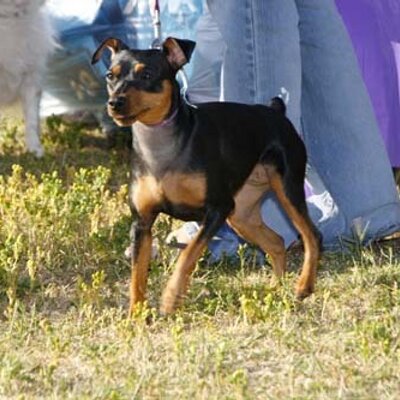 Profile Picture of Rachel Gmyr (@gmyrra) on Twitter