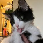 Profile Picture of Ethan Tinklenberg (@ethan_stinklenberg) on Instagram