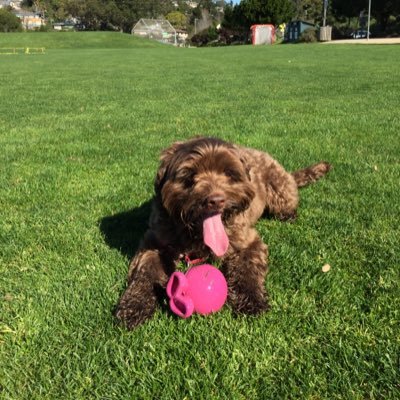 Profile Picture of Michael Harness (@mharness1) on Twitter