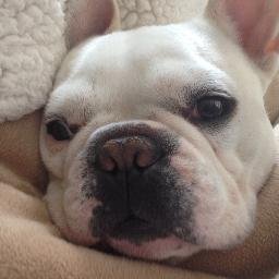 Profile Picture of Lilly (@albert22603) on Twitter