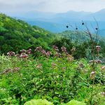 Profile Picture of naorin (@najorin) on Instagram