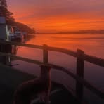 Profile Picture of Phyllis JöstBartel (@phyllis.jost) on Facebook