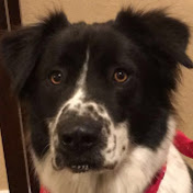 Profile Picture of James Manders (@jamesmanders6599) on Youtube