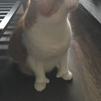 Profile Picture of Clinton Roy Ignas (@clinton-roy-ignas) on Quora