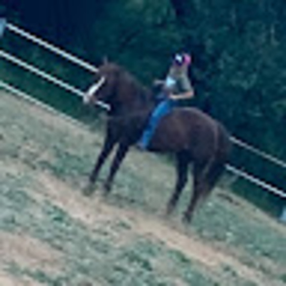 Profile Picture of Kendall Jageman (@jagemankendall) on Poshmark