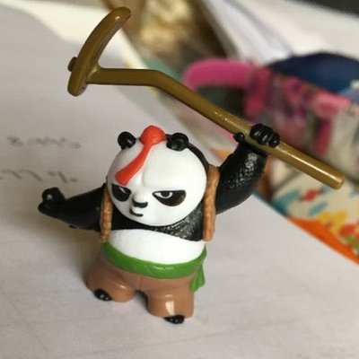 Profile Picture of Iris Wang (@iriswang1999) on Twitter