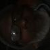Profile Picture of James Oglesby (@james.oglesby.5667) on Facebook