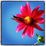 Profile Picture of BerSeck Jamess (@jaimebersek) on Instagram