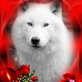 Profile Picture of Josepha La Louve Amerindienne (@passionamerindienne) on Pinterest