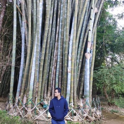 Profile Picture of Raza_313 (@Raza_lwin_Moe) on Twitter