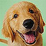 Profile Picture of Ma Nan (@马楠) on Flickr