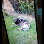 Profile Picture of kevinko doffek (@kevinkodoffek1) on Instagram