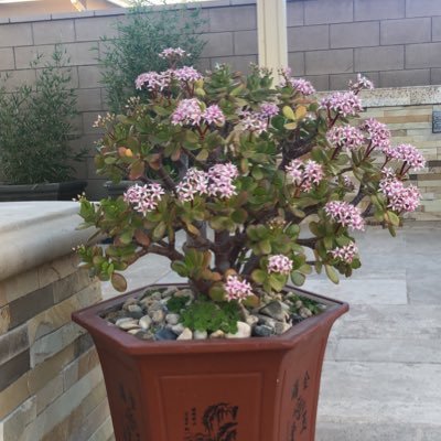 Profile Picture of Kenneth Heng (@KennethHeng4) on Twitter