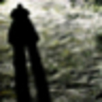 Profile Picture of David Trick (@david trick) on Flickr