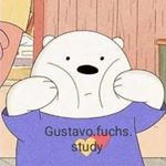 Profile Picture of Gustavo Fuchs (@gustavo.fuchs.study) on Instagram