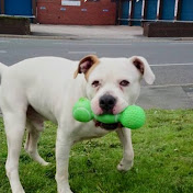 Profile Picture of Kyle Holden (@kyleholden7637) on Youtube