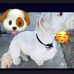Profile Picture of Omar Julian Herrera (@omar.j.herrera.5) on Facebook