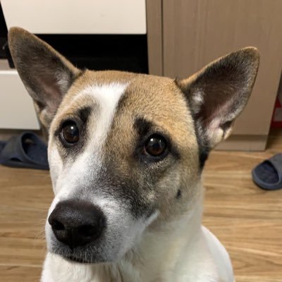 Profile Picture of JamesYiu (@JamesYiu9) on Twitter