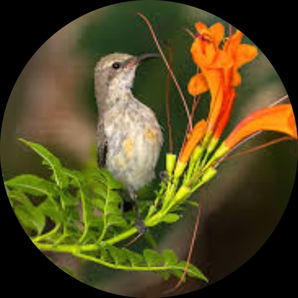 Profile Picture of Kevin Frederick (@kevin98456) on Poshmark