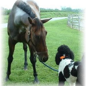 Profile Picture of Linnell (@434250963) on Myspace