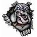 Profile Picture of Alex Mankin (@marine2171) on Pinterest