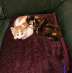 Profile Picture of Stephen Buchele (@stephen.buchele) on Facebook