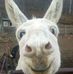 Profile Picture of Robert Dannen (@robert.dannen) on Facebook