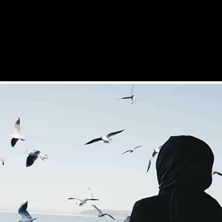 Profile Picture of Manal Sulieman (@Manal-Sulieman) on Facebook