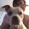 Profile Picture of Zach Flores (@@zachflores24) on Tiktok