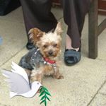 Profile Picture of Peter Partington (@peter.partington.31) on Instagram