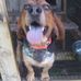 Profile Picture of Jeffery Pifer (@jeffery.pifer.5) on Facebook