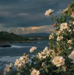 Hana Hassan - Facebook Profile Picture of Hana Hassan (@Hana-Hassan) on Facebook