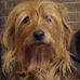 Profile Picture of Scott Copeland (@scott.copeland.18294) on Facebook