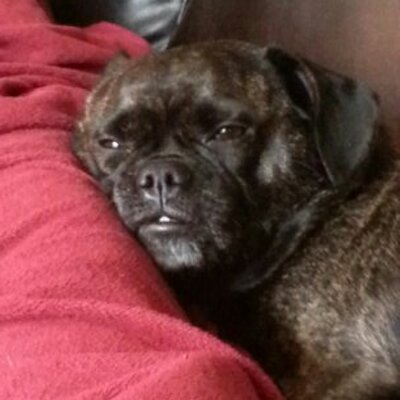 Profile Picture of John Wignall (@jwiggs) on Twitter