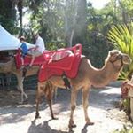 Profile Picture of Paul Chagnon (@paul.chagnon) on Instagram