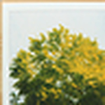 Profile Picture of adam jennings (@adam.j) on Flickr