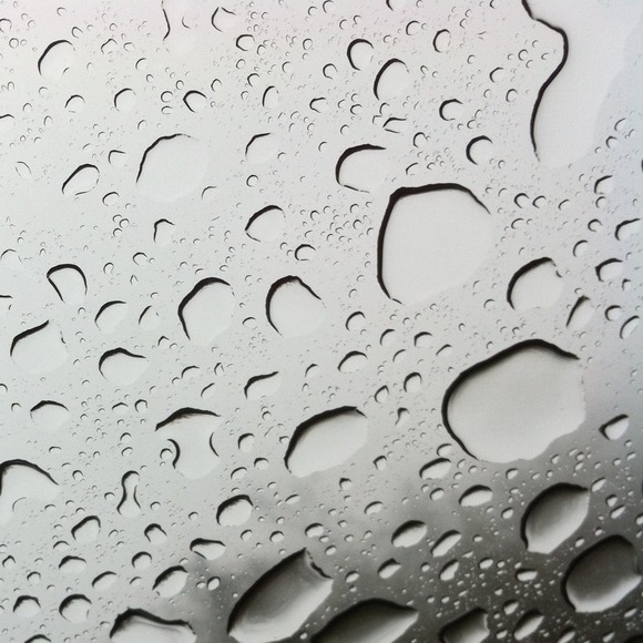 Profile Picture of Eva Twombly (@evatwombly) on Poshmark