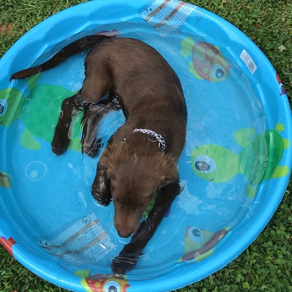 Profile Picture of Chris Dupree (@cdupree_) on Poshmark