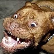 Profile Picture of Robert Crosson (@mebob60) on Twitter