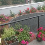 Profile Picture of Michael Mcgrath (@michael.mcgrath.524) on Instagram