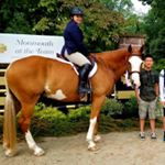 Profile Picture of Tess kelly (@tessskelly) on Instagram