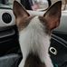 Profile Picture of Dianne A. E. Taggart (St. Michel Dickey Porter) (@dianne.taggart.31) on Facebook