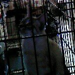 Profile Picture of Chris Samarin Wyatt (@chriswyatt40210) on Instagram