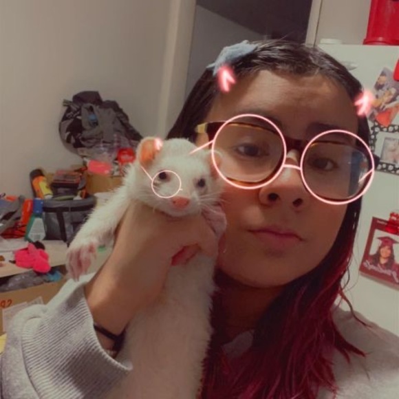 Profile Picture of Lupe Luna (@lupeluna781) on Poshmark