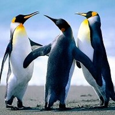 Profile Picture of Jeffrey Bender (@Ben_Jeff5) on Twitter